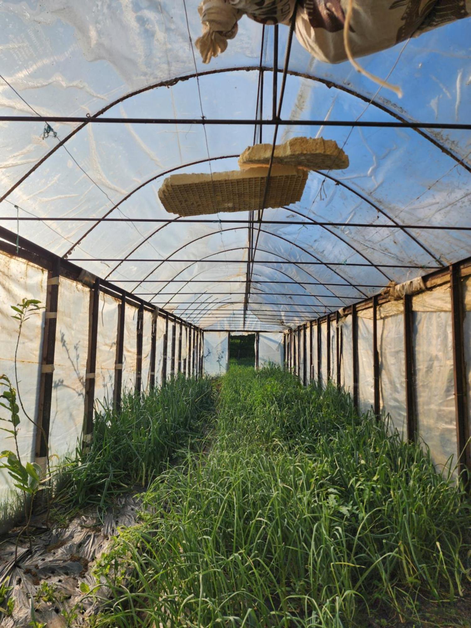 Pensión Agroturizem Devin